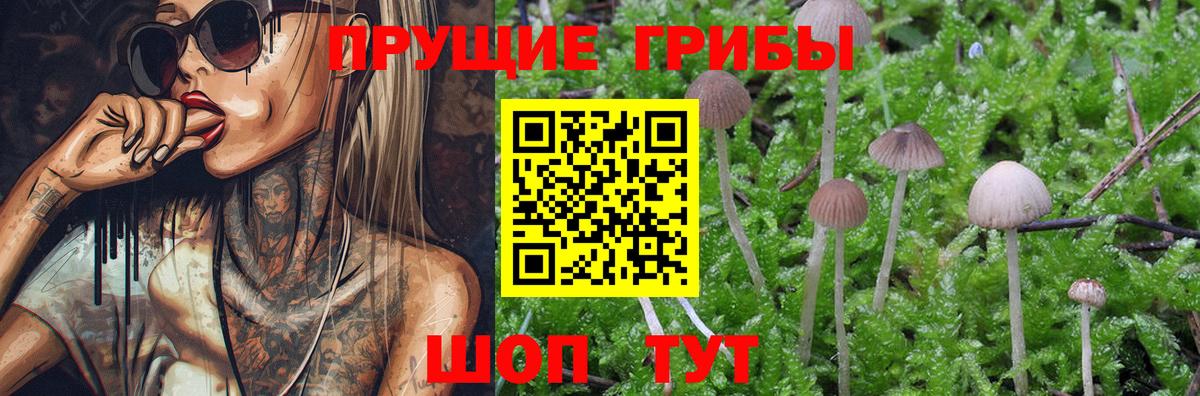 Туймазы  Галлюциногенные грибы прущие грибы  купить  цена  Вход с VPN 